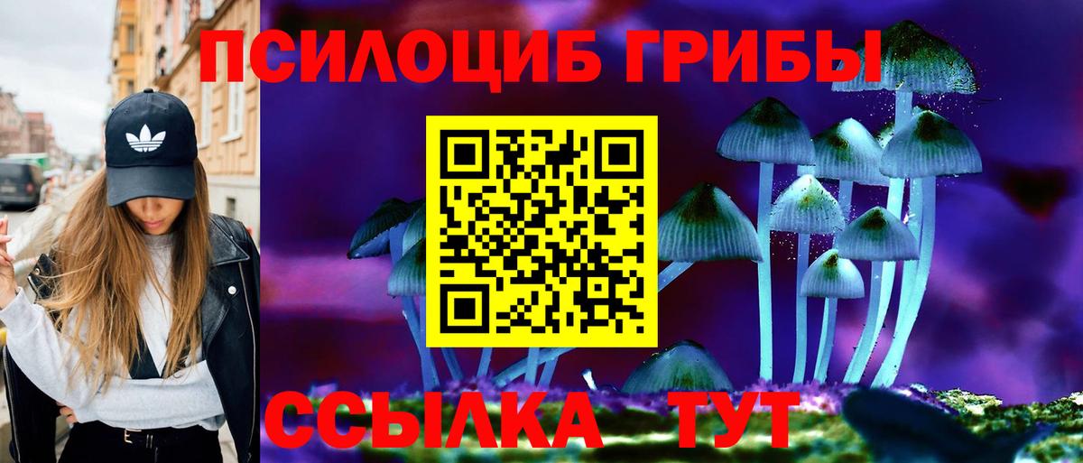 Псилоцибиновые грибы MAGIC MUSHROOMS  Вход с VPN  Псилоцибиновые грибы Psilocybine cubensis  Тейково 